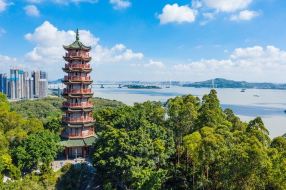景区门票